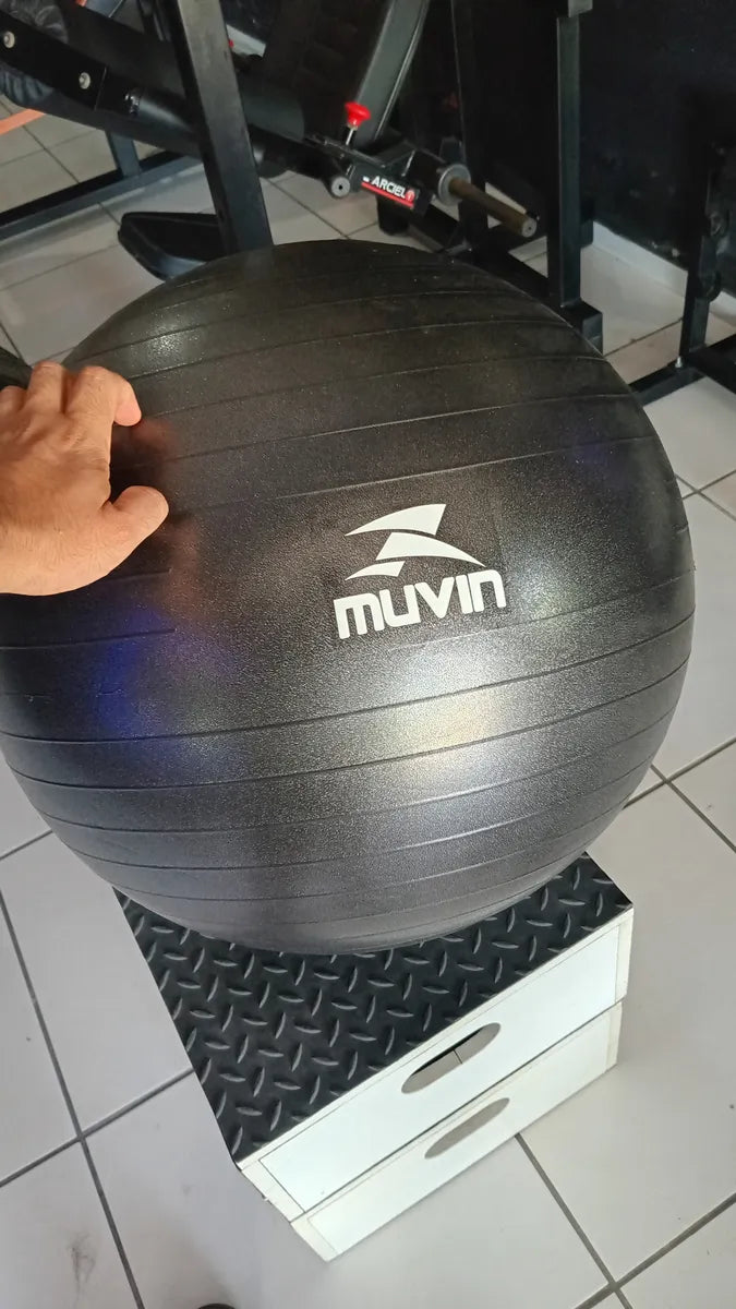 Bola de Pilates Balance Pro Gris